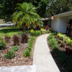 lithia florida lawn care services