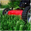 Apollo Beach Florida Lawn Care Services